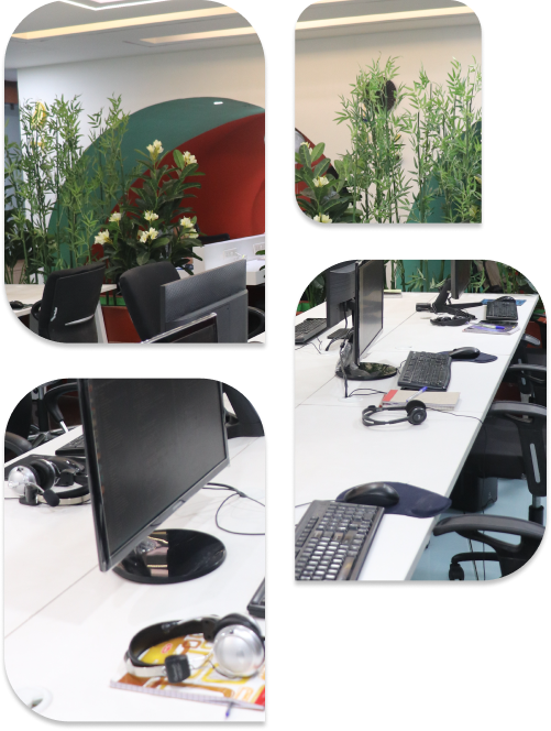 About Image