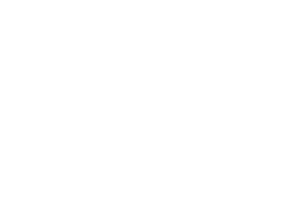 Grid Line Image