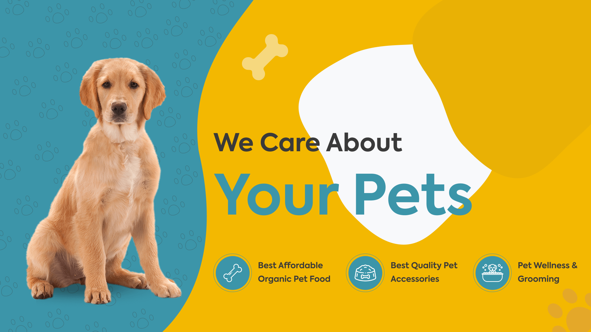 Pet Care Image